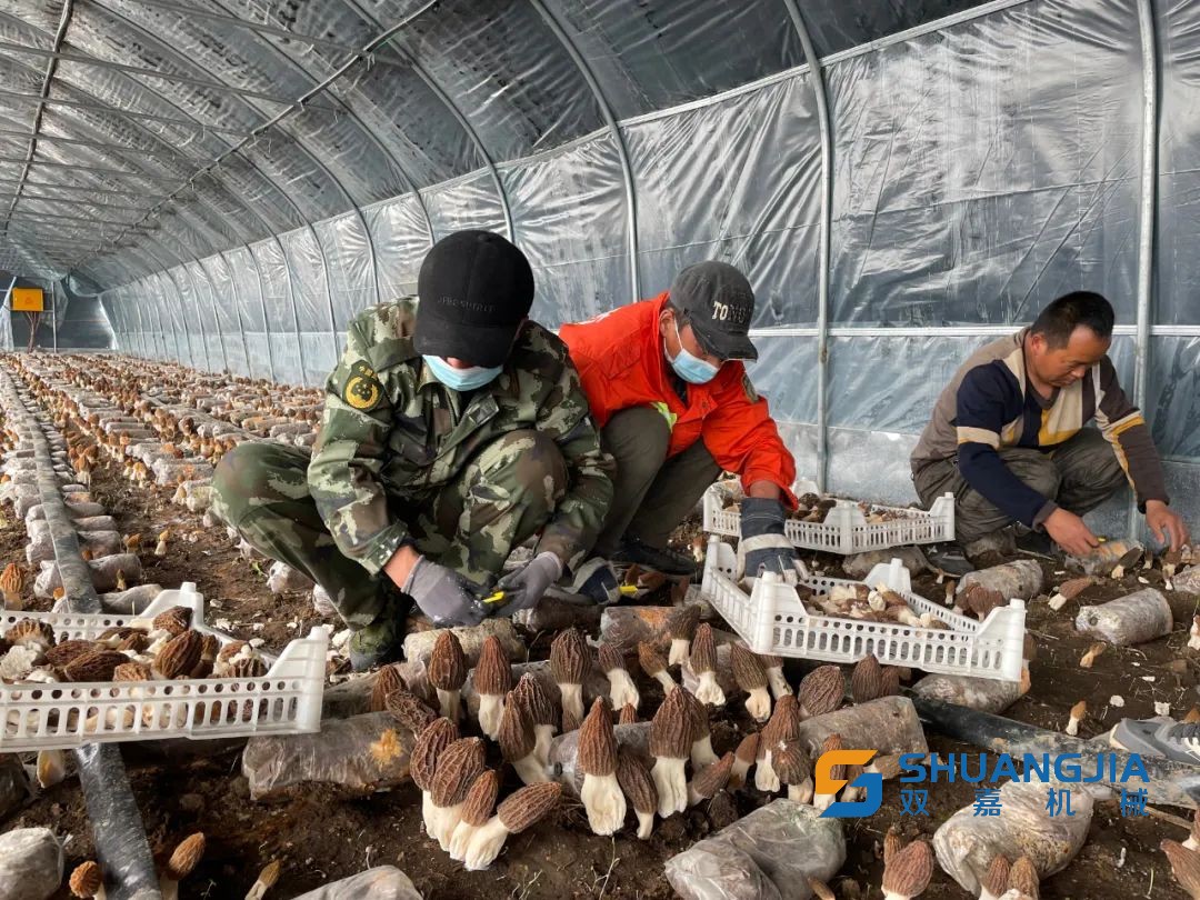 1653012401210021.jpg 14-15-04-73-283825.jpg