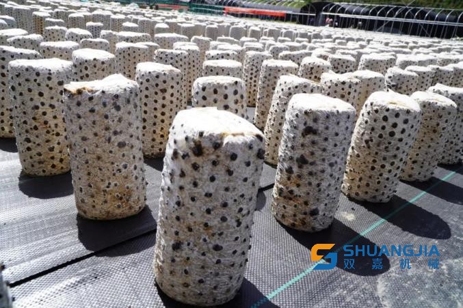 1653099531198951.jpg 542.jpg