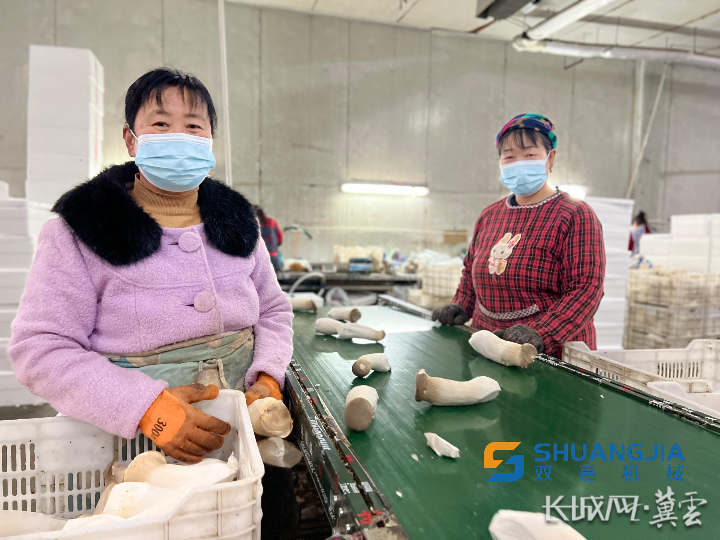 1653266466228454.png 1000.png