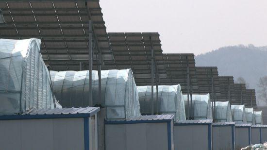 1658541165844570.jpeg 15-50-22-41-283825.jpeg