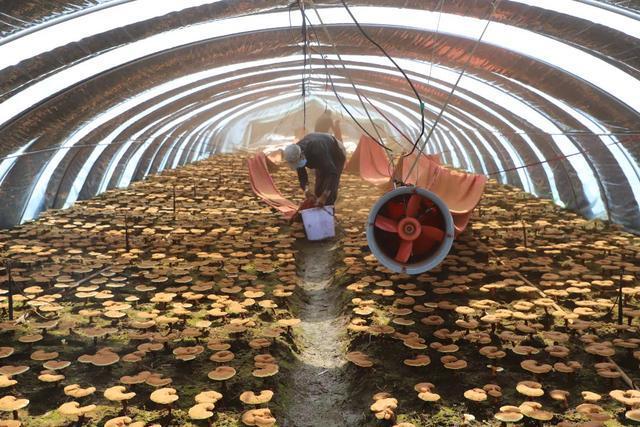 1658627665730327.jpeg 22-07-11-28-283825.jpeg