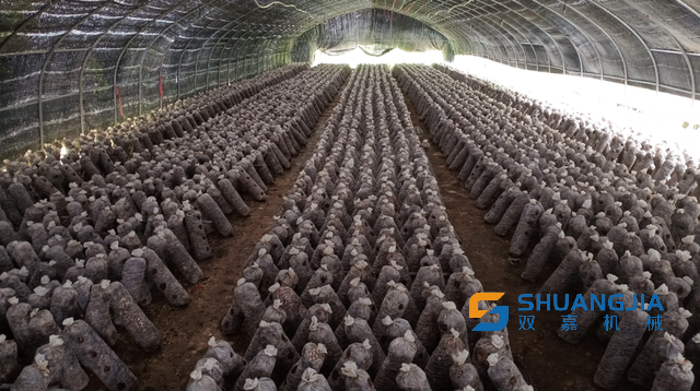 1658797487818094.png 13-48-06-23-283825.png