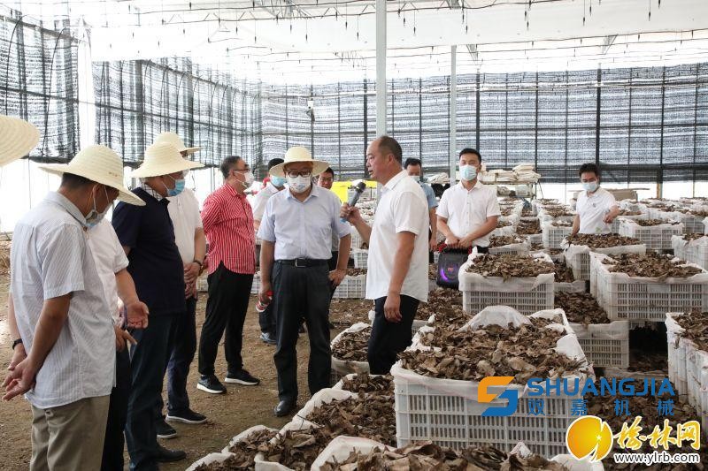 1658797648407175.jpg 17-12-05-30-283825.jpg