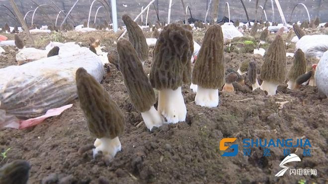 1658886122149988.jpg 17-13-38-45-283825.jpg