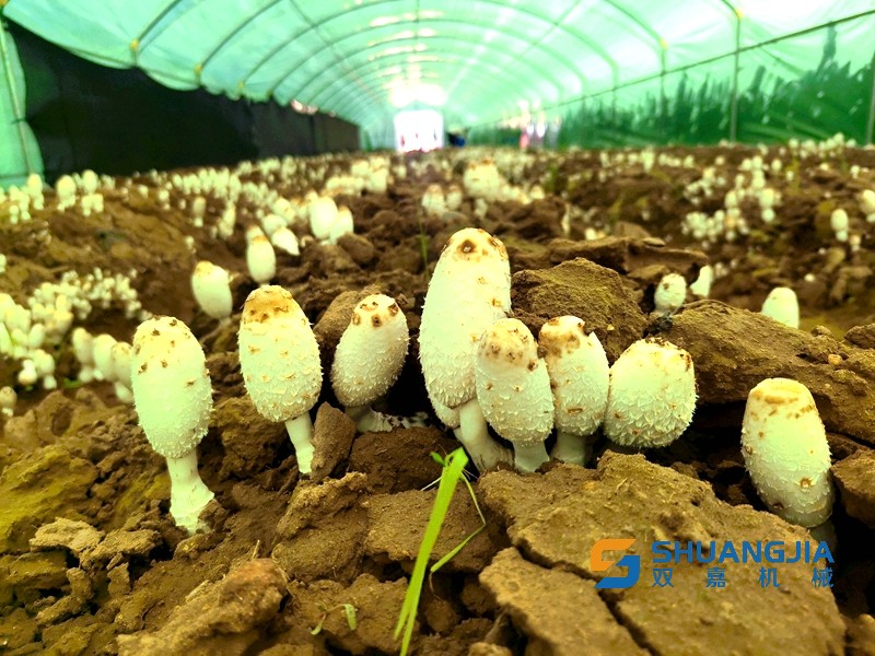 1659066999164115.jpg 09-10-37-51-283825.jpg